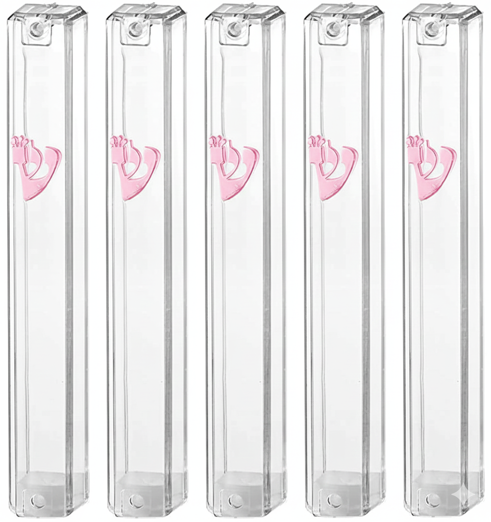 MEZUZAH CASE Holder (shidell) בית מזוזה Plastic Silver shin Rectangle Shape CLEAR PINK SHIN LOT OF 5 PCS