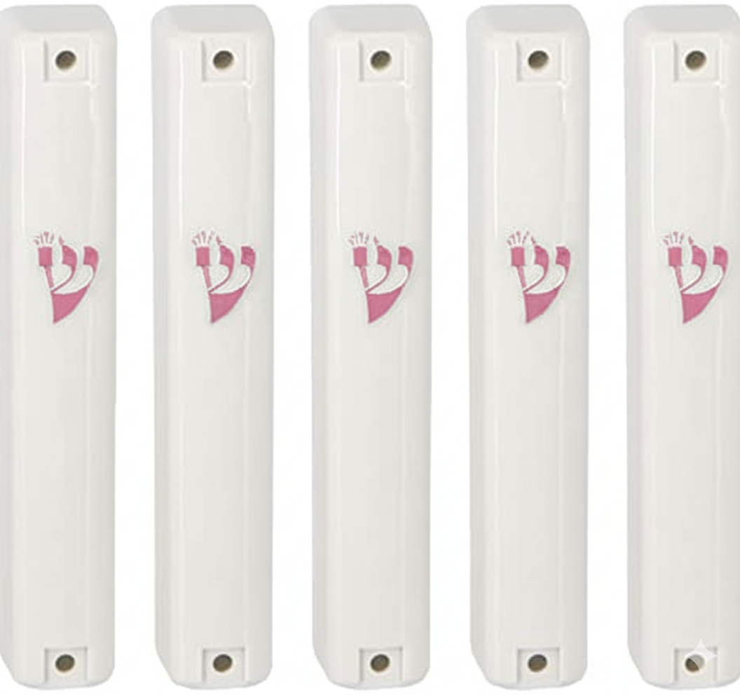 MEZUZAH CASE Holder (shidell) בית מזוזה Plastic Silver shin Rectangle Shape White PINK SHIN LOT OF 5 PCS