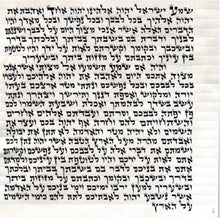 Load image into Gallery viewer, KOSHER MEZUZAH SCROLL מזוזות פויגל  כתב ארי' נבדק ע''י מחשב וע''י בודק מומחה each mezuzah is listed separately SIZE 10 CM 15 cm מזוזות פויגל