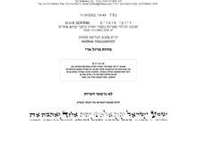 Load image into Gallery viewer, KOSHER MEZUZAH SCROLL מזוזות פויגל  כתב ארי' נבדק ע''י מחשב וע''י בודק מומחה each mezuzah is listed separately SIZE 10 CM 15 cm מזוזות פויגל