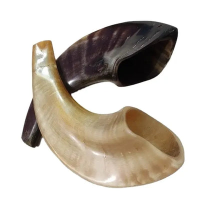 Natural Ram Horn polished SHOFER SHOFAR שופר של איל
