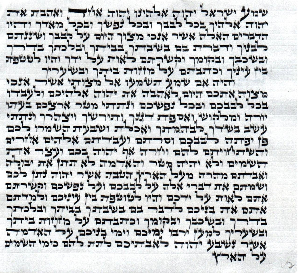 מזוזות דוד KOSHER MEZUZAH SCROLL מזוזת דוד כתב ארי' נבדק ע''י מחשב וע''י בודק מומחה each mezuzah is listed separately  SIZE 10 CM מזוזות דוד